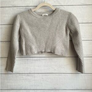 Wilfred Aritzia Merino Wool Crop Sweater